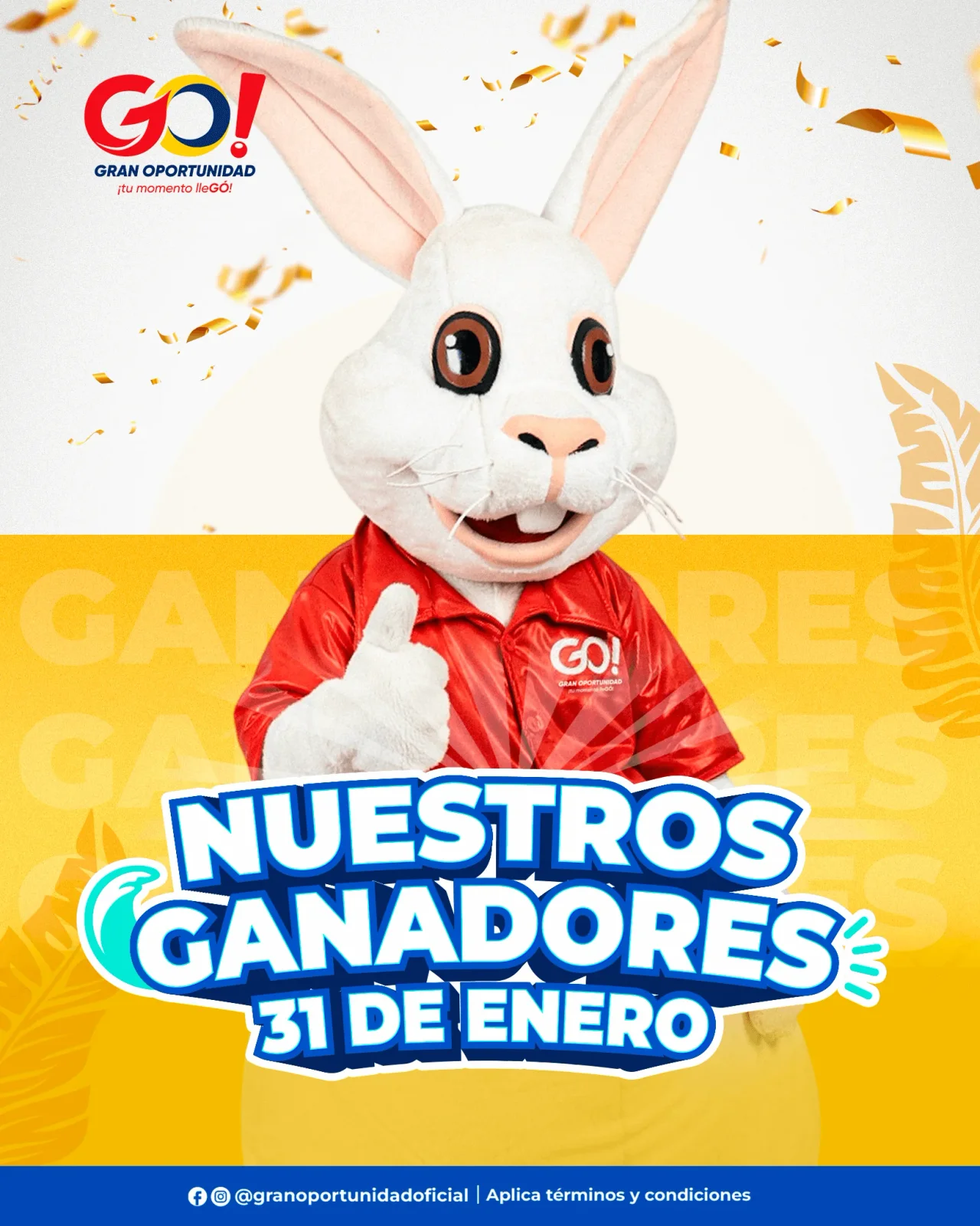 Carrusel Promocional