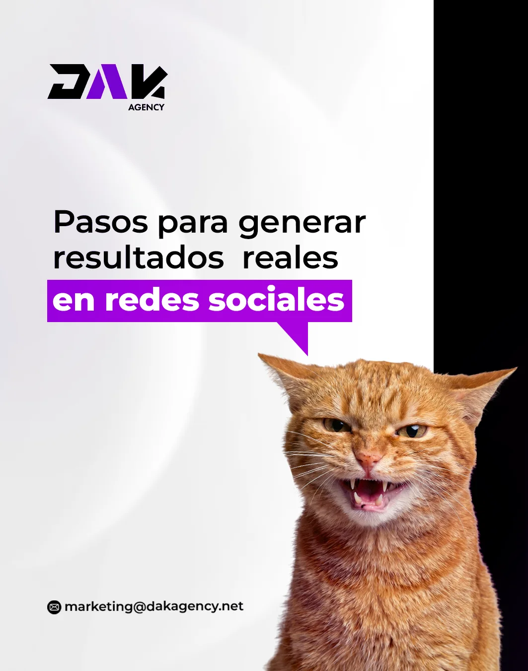 Métricas de Redes Sociales: Cómo Saber si Te Están Trayendo Clientes
